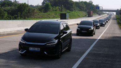 BYD M6