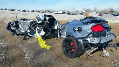 Kondisi Mustang Shelby GT500