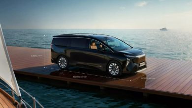 Buick Electra Encasa