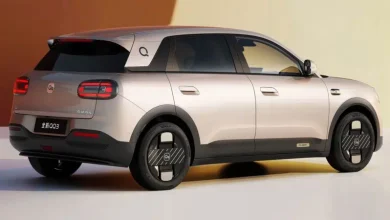 Chery Q