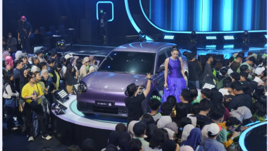 Chery Q