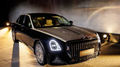 Hongqi Guoya