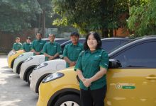 Wuling Binguo EV