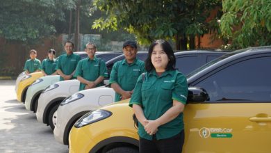 Wuling Binguo EV