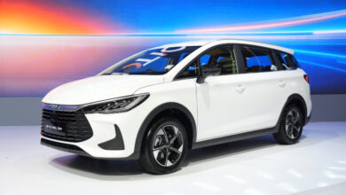 BYD M6