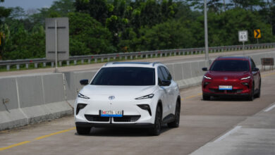 MG