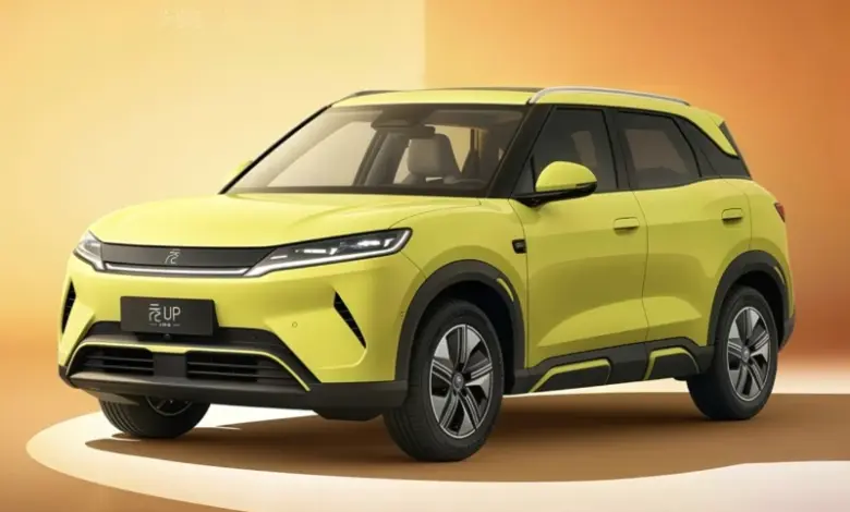 BYD Atto 2