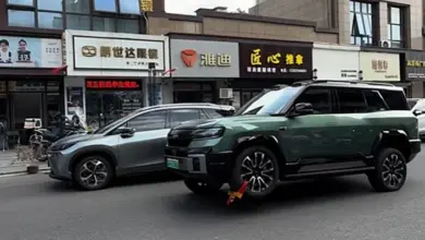SUV BYD Fang Cheng Bao Bao 8